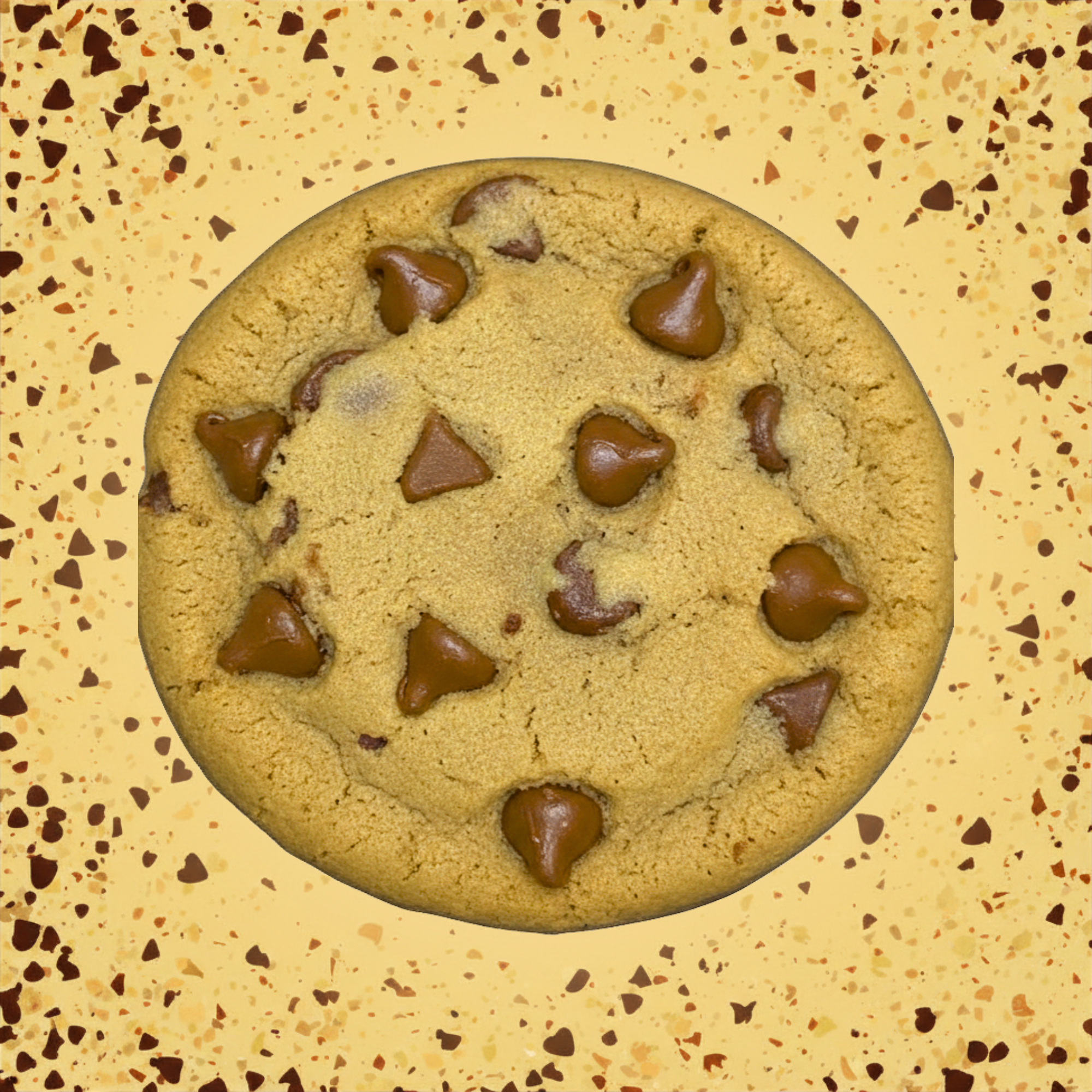 Chocolate Chip